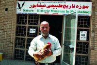 خروس – مرغ ایران ، خروسی که هر روز یک تخم می‌گذاشت