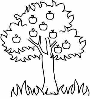 نقاشی درخت کودکانه و طرح های جذاب رنگ آمیزی درخت