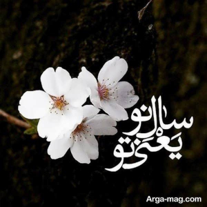 عکس نوشته عید نوروز ۱۴۰۳ با متن های دلنشین و زیبا